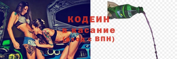 индика Беломорск