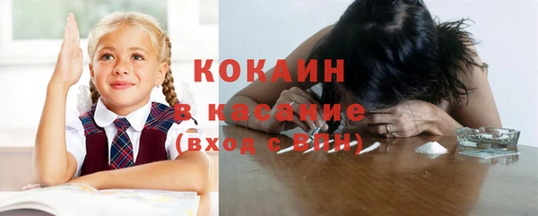 spice Туринск